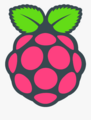 Raspi.png